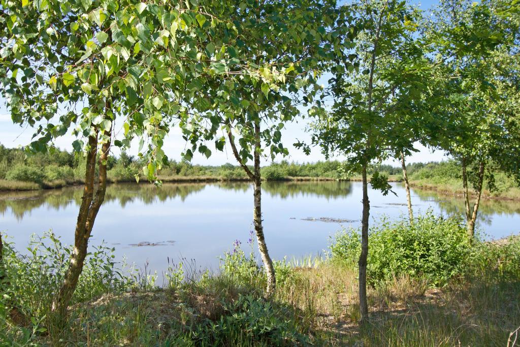 Egebjerggaard Bed & Breakfast Sig Екстериор снимка